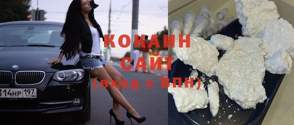 прущие грибы Армянск