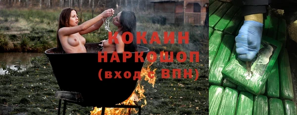 прущие грибы Армянск